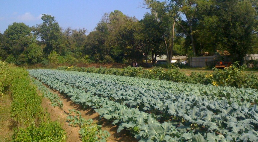 Left-Wing Mob Forces Texas Farm to Cancel Conservative Event