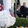 Trump Returns to Rose Garden for Annual Thanksgiving Turkey Ceremony