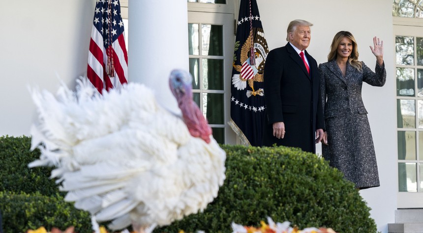 Trump Returns to Rose Garden for Annual Thanksgiving Turkey Ceremony