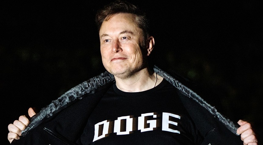 Musk Questions Whether Government Efficiency Project Was Worth the Personal Cost