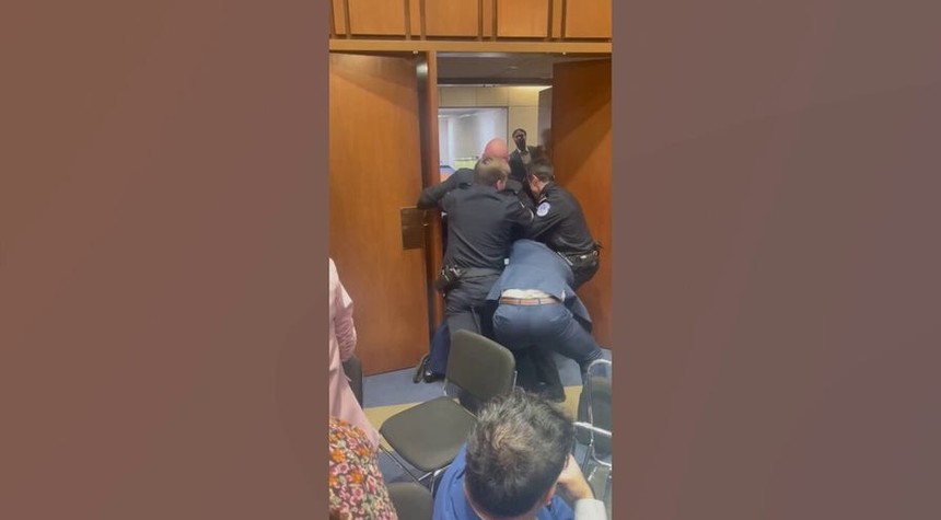 Senate Hearing Descends into Physical Struggle as Protester Resists Removal from Capitol
