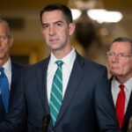 New Legislation Would Empower Power Plants and Hospitals to Counter Hostile Drones