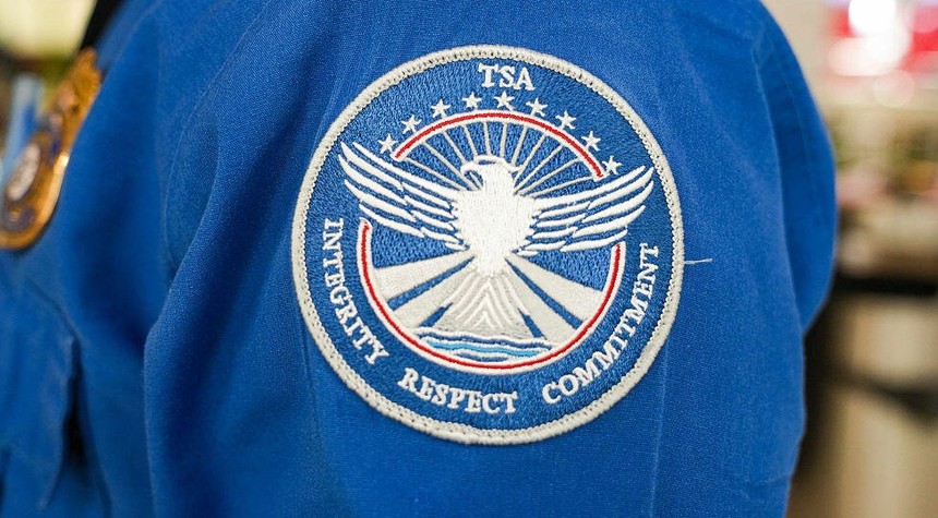 Trump Taps Transportation Contractor Executive to Lead TSA Amid Agency Turmoil